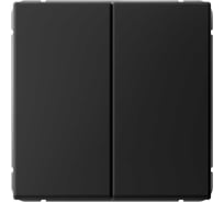 Выключатель 2-клавишный ArtGallery Systeme Electric 10 АХ механизм Черный шелк GAL001751
