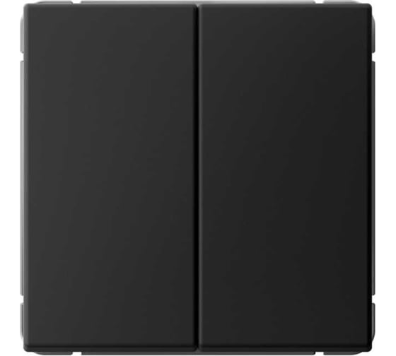 Выключатель 2-клавишный ArtGallery Systeme Electric 10 АХ механизм Черный шелк GAL001751