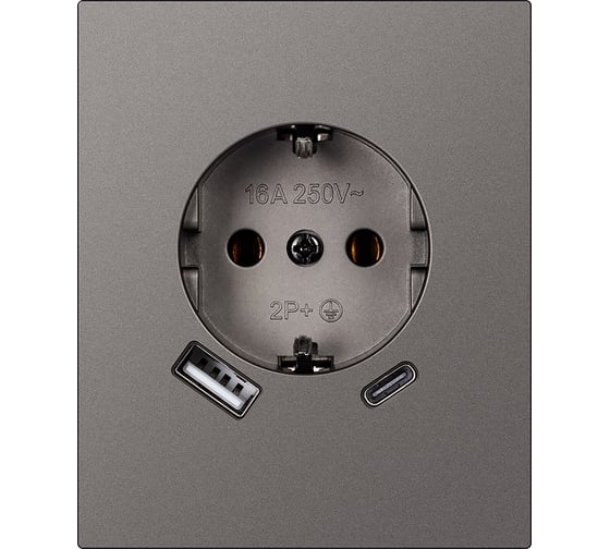 Розетка одноместная SMARTBUY с заземлением USB+Type-C модульная 16А графит Альтаир SBE-m11g-16-S1-USB 1