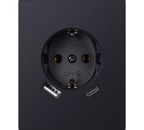 Розетка одноместная SMARTBUY с заземлением USB+Type-C модульная 16А черная акрил Альтаир SBE-m11ba-16-S1-USB
