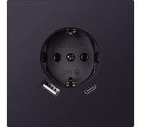 Розетка одноместная SMARTBUY с заземлением USB+Type-C независимая 16А черная акрил Альтаир SBE-i11ba-16-S1-USB