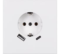 Розетка одноместная SMARTBUY с заземлением USB+Type-C независимая 16А белая Альтаир SBE-i11w-16-S1-USB