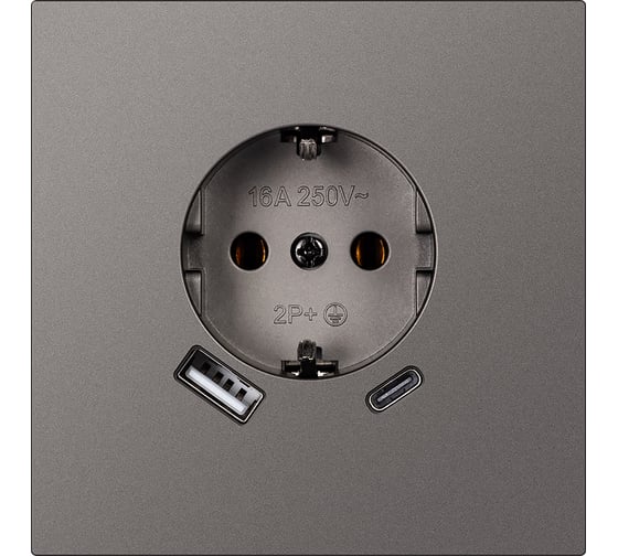 Розетка одноместная SMARTBUY с заземлением USB+Type-C независимая 16А графит Альтаир SBE-i11g-16-S1-USB 1