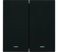 Механизм выключателя 2-клавишного STEKKER c индикатором 250В, 10А, серия Мия, RSW10-3102-05, черный бархат, 50446