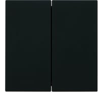Механизм переключателя 2-клавишного STEKKER 250В, 10А, серия Мия, RSW10-3107-05, черный бархат, 50448