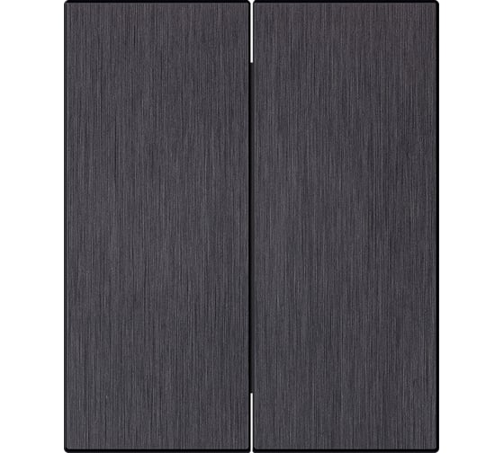 Выключатель 2-клавишный SMARTBUY модульный 10А алюминий черный Альтаир SBE-m11alb-10-SW2-0 1