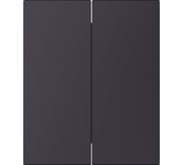 Выключатель 2-клавишный SMARTBUY модульный 10А черный акрил Альтаир SBE-m11ba-10-SW2-0