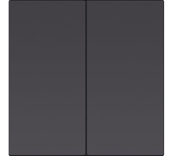 Выключатель 2-клавишный SMARTBUY независимый 10А черный Альтаир SBE-i11b-10-SW2-0 1