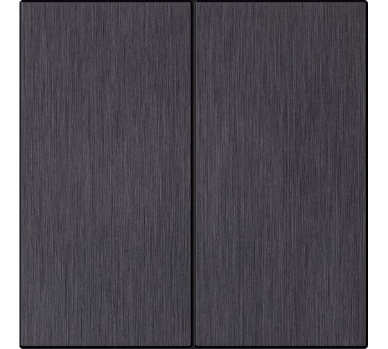 Выключатель 2-клавишный SMARTBUY независимый 10А алюминий черный Альтаир SBE-i11alb-10-SW2-0 1