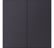 Выключатель 2-клавишный SMARTBUY независимый 10А черный акрил Альтаир SBE-i11ba-10-SW2-0