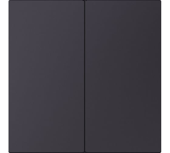 Выключатель 2-клавишный SMARTBUY независимый 10А черный акрил Альтаир SBE-i11ba-10-SW2-0 1