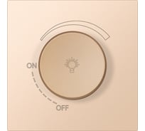 Светорегулятор (диммер) SMARTBUY 1200Вт независимый 10А шампань акрил Альтаир SBE-i11ia-D-0