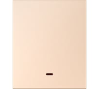 Выключатель 1-клавишный SMARTBUY с индикатором модульный 10А шампань акрил Альтаир SBE-m11ia-10-SW1-1