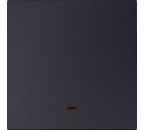 Выключатель 1-клавишный SMARTBUY с индикатором независимый 10А черный акрил Альтаир SBE-i11ba-10-SW1-1