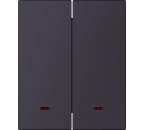 Выключатель 2-клавишный SMARTBUY с индикатором модульный 10А черный акрил Альтаир SBE-m11ba-10-SW2-1
