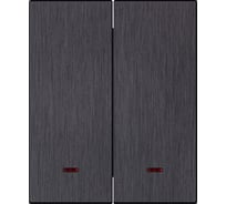 Выключатель 2-клавишный SMARTBUY с индикатором модульный 10А алюминий черный Альтаир SBE-m11alb-10-SW2-1