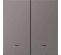 Выключатель 2-клавишный SMARTBUY с индикатором независимый 10А графит Альтаир SBE-i11g-10-SW2-1