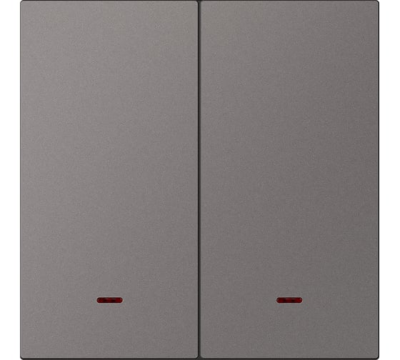 Выключатель 2-клавишный SMARTBUY с индикатором независимый 10А графит Альтаир SBE-i11g-10-SW2-1