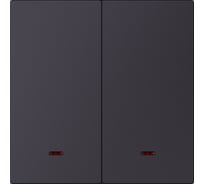 Выключатель 2-клавишный SMARTBUY с индикатором независимый 10А черный акрил Альтаир SBE-i11ba-10-SW2-1