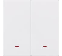 Выключатель 2-клавишный SMARTBUY с индикатором независимый 10А белый Альтаир SBE-i11w-10-SW2-1