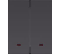Выключатель 2-клавишный SMARTBUY с индикатором модульный 10А черный Альтаир SBE-m11b-10-SW2-1