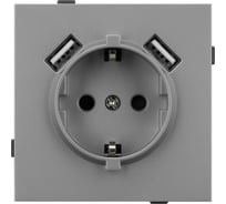 Механизм розетки с USB зарядкой Arlight SCT-TENDO-MUAA-PL-GR 1шт 054084