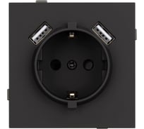 Механизм розетки с USB зарядкой Arlight SCT-TENDO-MUAA-SFPL-BK 1шт 054603