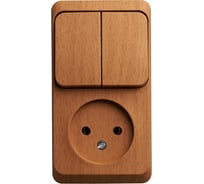 Наружный блок Systeme Electric Этюд, Бук, Розетка б/з + 2-клавишный выключатель SE BPA16-205T