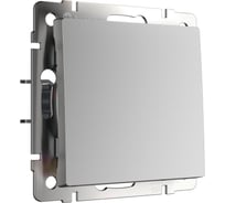 Выключатель одноклавишный проходной Werkel W1112006 серебряный a050874