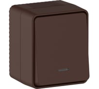 Выключатель с подсветкой Systeme Electric 1-клавишный ATLASDESIGN PROFI, коричневый, IP54, открытый монтаж, 10 АХ, ATN546013