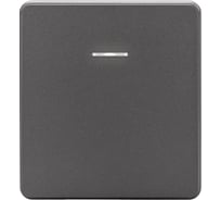 Механизм выключателя KRANZ ROUND 1-клавишный с подсветкой 10А с/у титан KR-78-0713-2