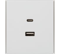 Механизм розетки KRANZ STRONG USB-A+Type-C 3А с функцией быстрой зарядки жемчуг KR-78-0734-4