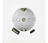 Механизм розетки 1-местной STEKKER защитные шторки, с заземлением 16А + USB + Type C, 250В, 20W, серия Мия, RST16-3119-01, белая магнолия, 50438
