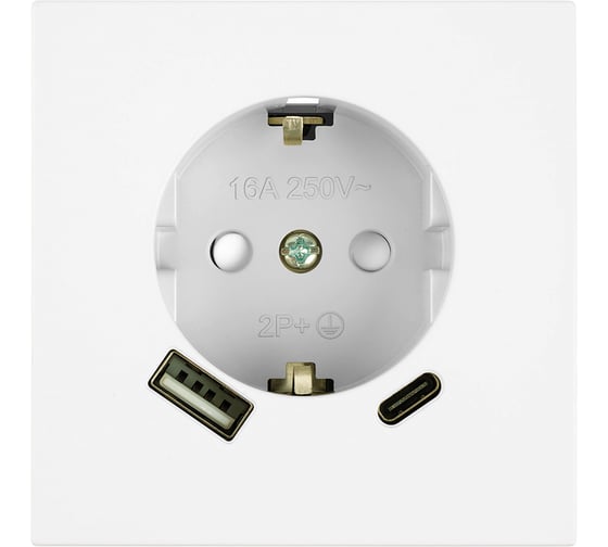 Механизм розетки 1-местной STEKKER защитные шторки, с заземлением 16А + USB + Type C, 250В, 20W, серия Мия, RST16-3119-01, белая магнолия, 50438