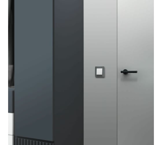 Рамка WERKEL W0012440 на 1 пост Elite графит стекло a057878