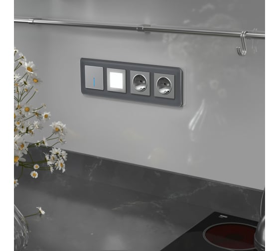 Рамка WERKEL W0042440 на 4 поста Elite графит стекло a057881