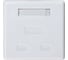 Компьютерная розетка Retic на 2 порта RJ-45 8p8c, cat. 5e, на плате, J-8P8C-C5E-2P-TWCS 10