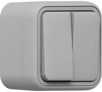 Выключатель двухклавишный проходной EKF Бронто ОП, автоматические клеммы, серый BT1-SWG-21