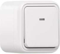 Выключатель одноклавишный проходной EKF Бронто с подсветкой, ОП, автоматические клеммы, белый BT1-SWW-16