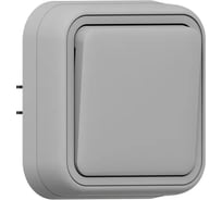 Выключатель одноклавишный проходной EKF Бронто СП, автоматические клеммы, серый BT2-SWG-11