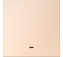 Выключатель 1-клавишный с индикатором независимый Smartbuy 10А шампань акрил Альтаир SBE-i11ia-10-SW1-1