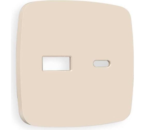 Лицевая панель Ambrella Volt для розетки 2USB A+C OMEGA OP3310