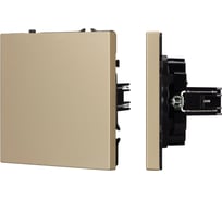 Заглушка поста Arlight SCT-NOBE-MGG-SFPL-GD 1шт 061821