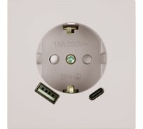 Механизм розетки 1-местной STEKKER защитные шторки, с заземлением 16А + USB + Type C, 250В, 20W, серия Мия, RST16-3119-08, пудровый жемчуг, 50482