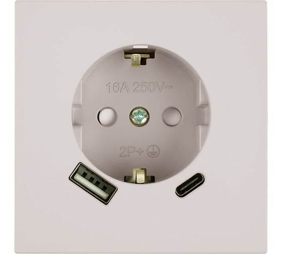 Механизм розетки 1-местной STEKKER защитные шторки, с заземлением 16А + USB + Type C, 250В, 20W, серия Мия, RST16-3119-08, пудровый жемчуг, 50482