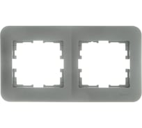 Рамка Lezard ASTI 2-ая горизонтальная, без вставки, платина 7081-3500-147