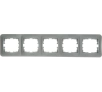 Рамка Lezard ASTI 5-ая горизонтальная, без вставки, платина 7081-3500-150