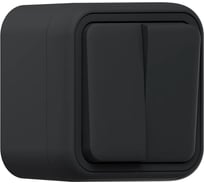 Выключатель двухклавишный EKF Бронто ОП, автоматические клеммы, антрацит BT1-SWA-20