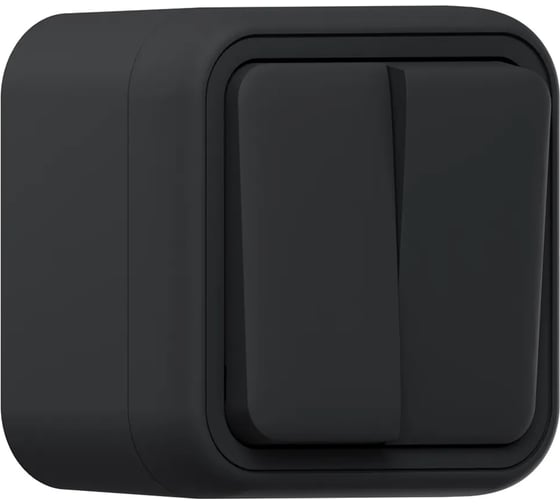 Выключатель двухклавишный EKF Бронто ОП, автоматические клеммы, антрацит BT1-SWA-20