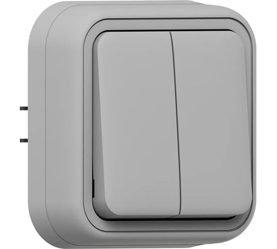 Выключатель двухклавишный EKF Бронто СП, автоматические клеммы, серый BT2-SWG-20